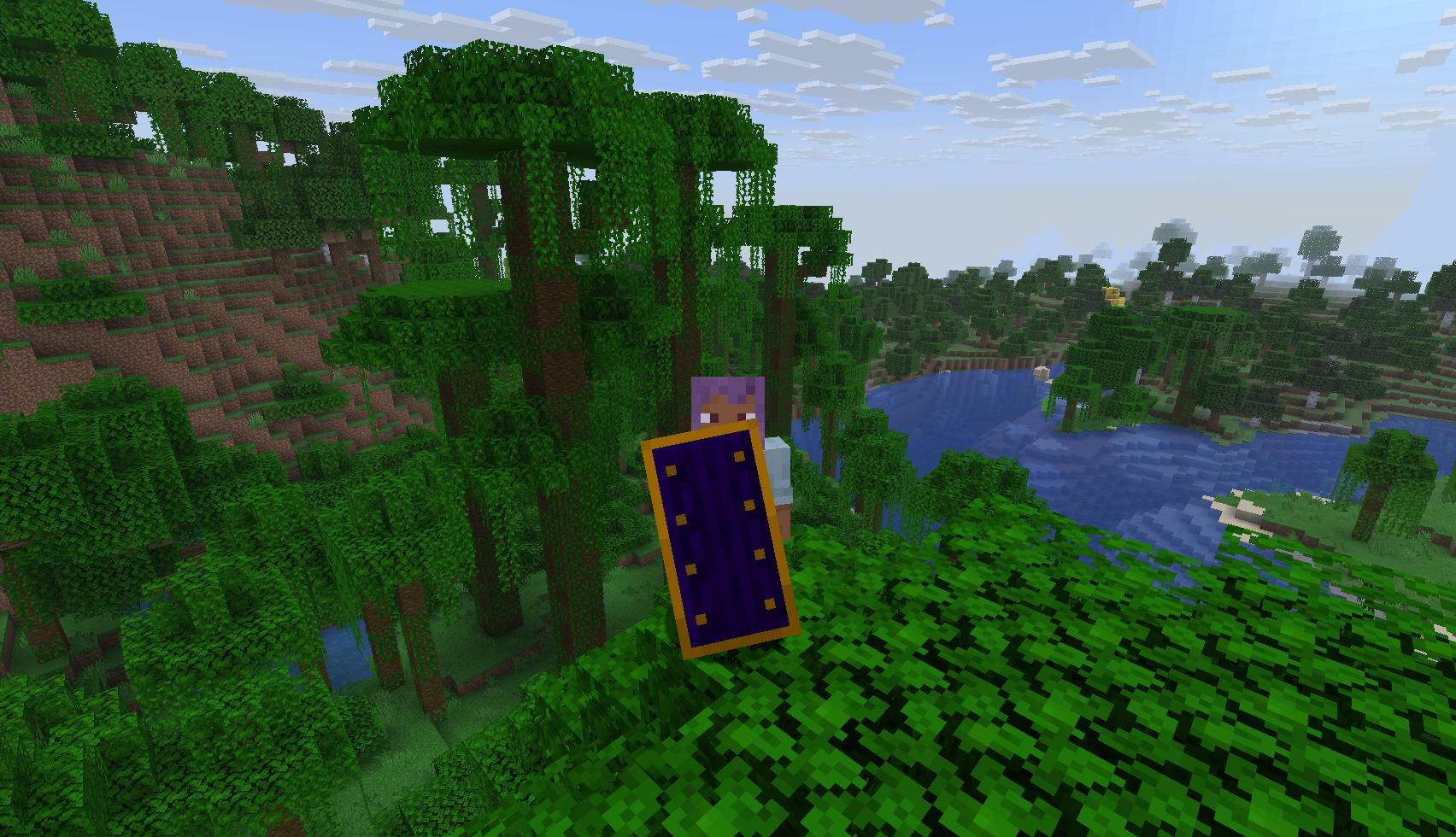 Finished shield in-game